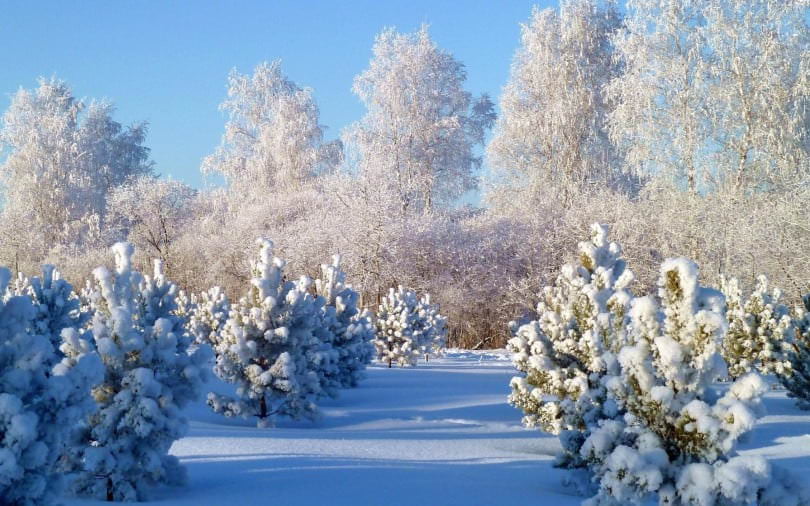 Зима - красивые картинки (100 фото)